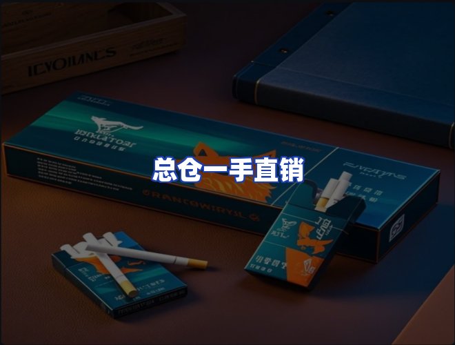 专业团队